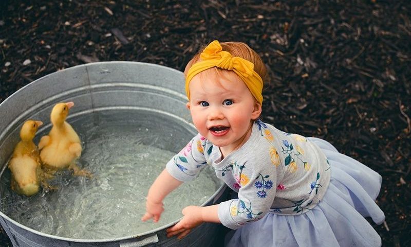 kleines Mädchen, das mit Enten spielt, die im Eimer mit Wasser schwimmen